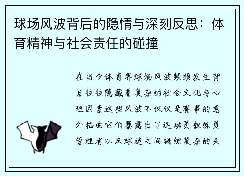 球场风波背后的隐情与深刻反思：体育精神与社会责任的碰撞