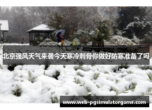 北京强风天气来袭今天寒冷刺骨你做好防寒准备了吗