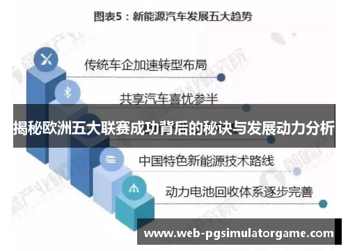 揭秘欧洲五大联赛成功背后的秘诀与发展动力分析