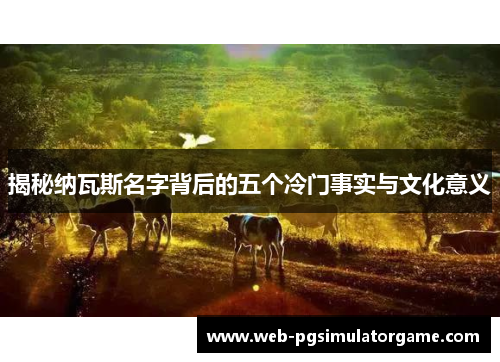 揭秘纳瓦斯名字背后的五个冷门事实与文化意义