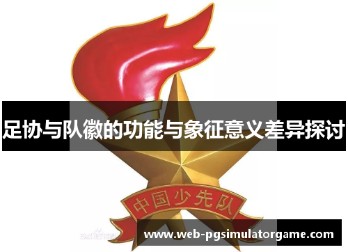 足协与队徽的功能与象征意义差异探讨